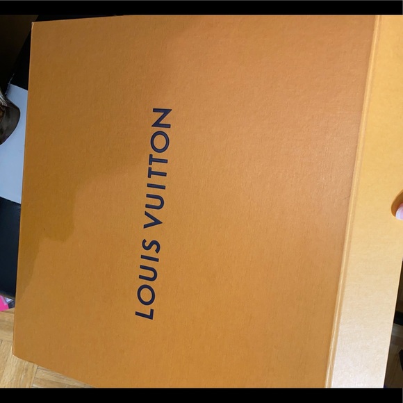 LV Speedy 25 Purse - Like New - Picture 13 of 16